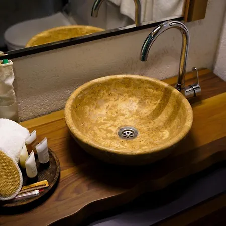 Gazde/Camere de închiriat Bk