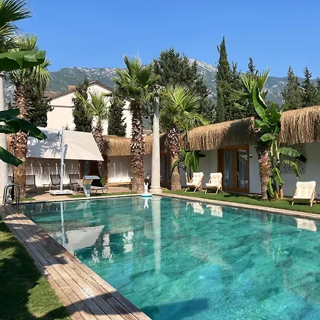 Gazde/Camere de închiriat Bk *